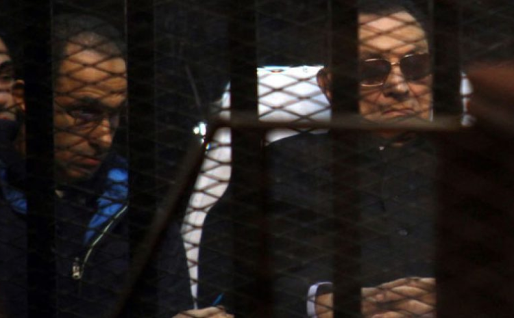  “كلنا ثورة يناير”.. “ثورة تعود”