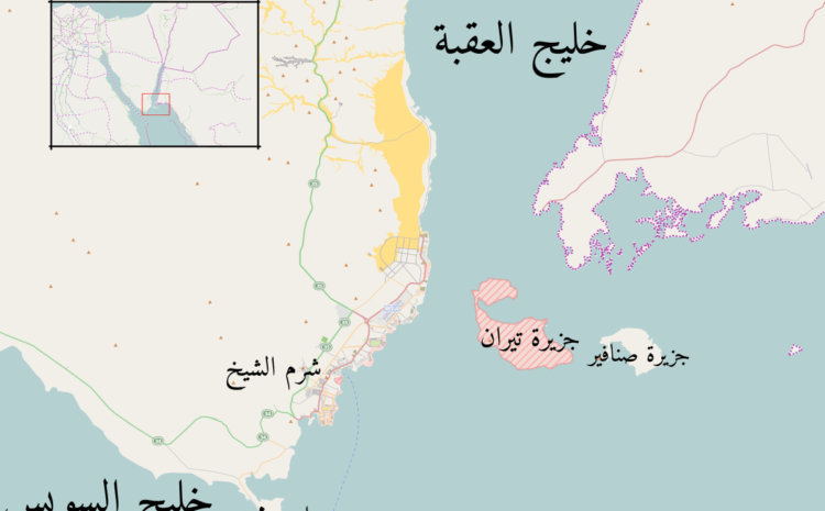  المستبد لا يحترم دستورا ولا يلتزم قانونا